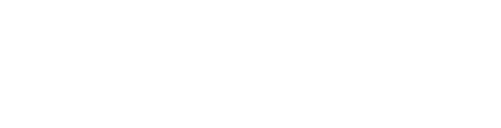 websolutions logo