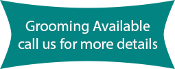 A blue sign that says grooming available call us for more details