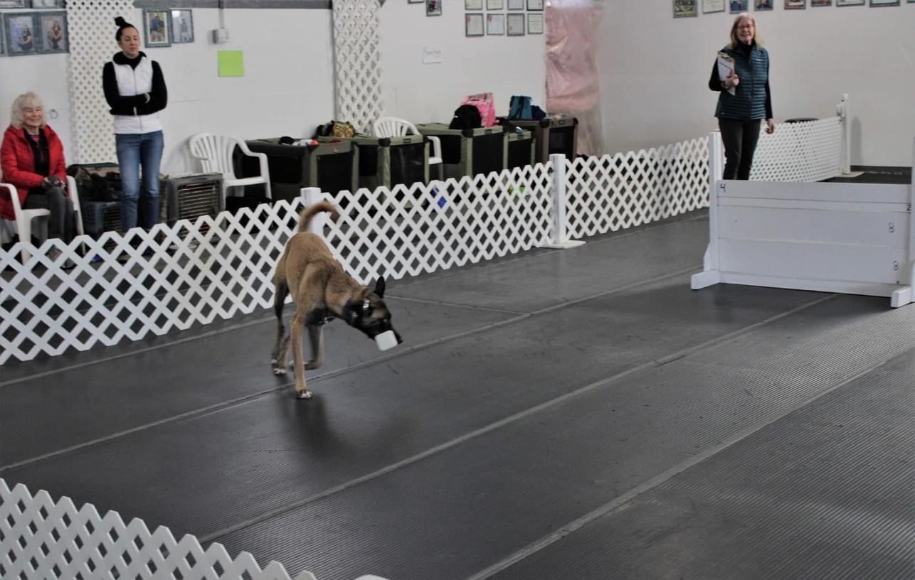 A dog is running on a track in front of a white fence.
