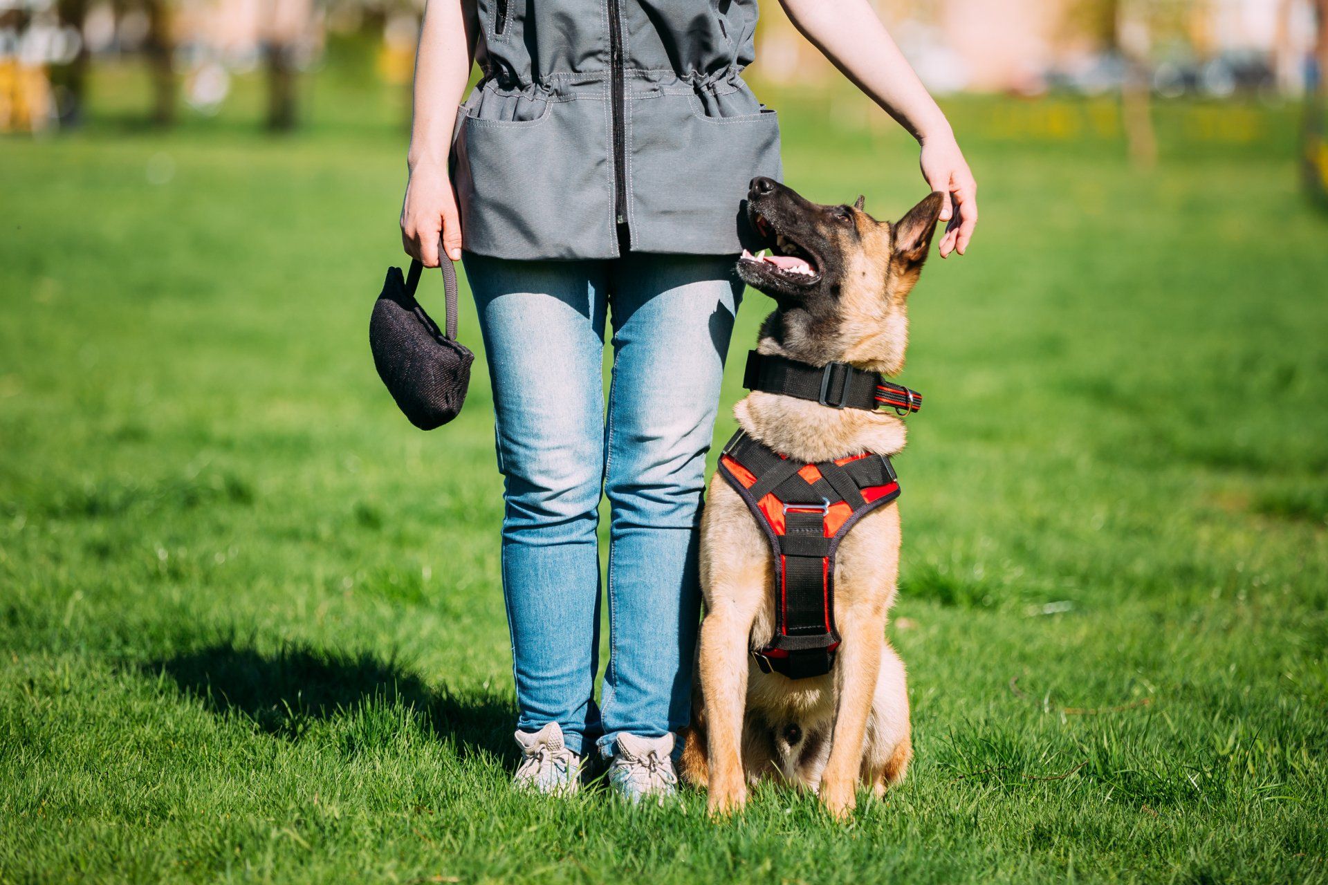 A woman is standing next to a german shepherd dog in a park.