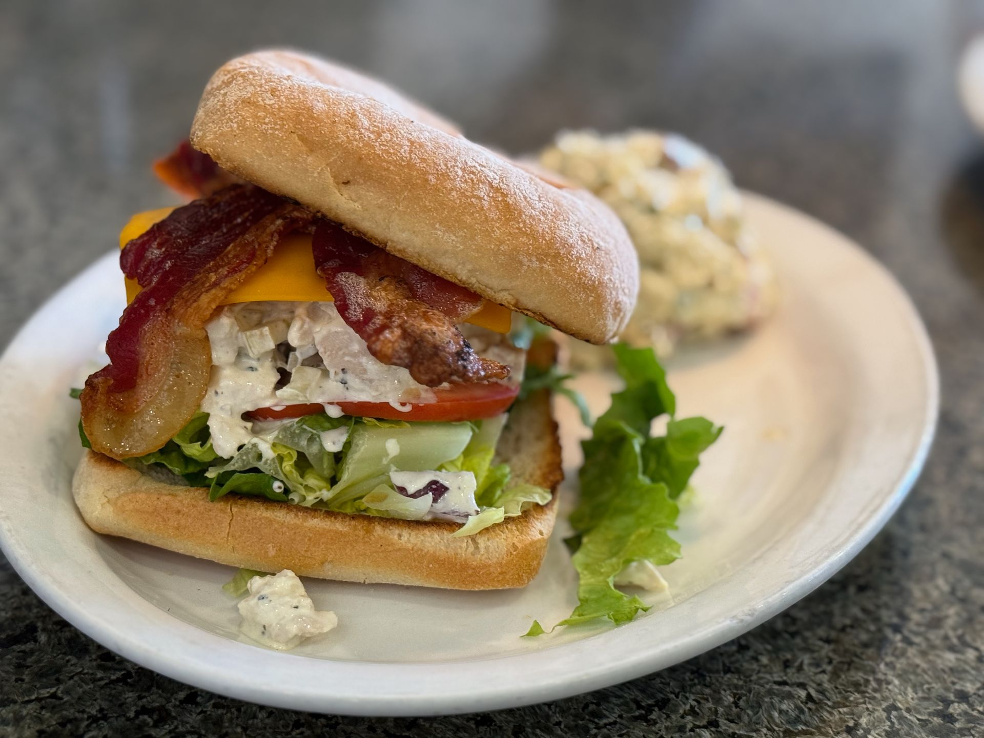 A close up of a sandwich on a plate with a side of potato salad.