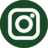 White Instagram logo in a green circle.