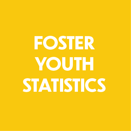 Foster youth statistics icon