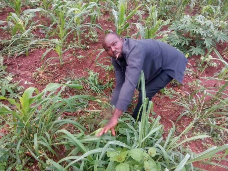 A man is kneeling down in a field of plants