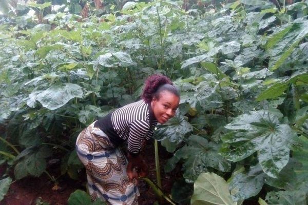 A woman is kneeling down in a field of plants.