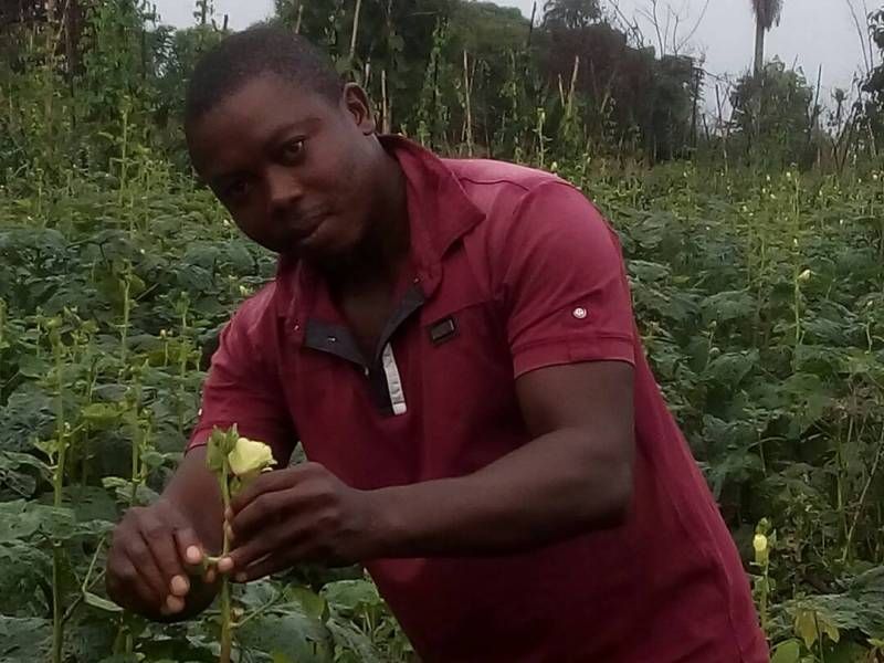 A man in a red shirt is looking at a plant