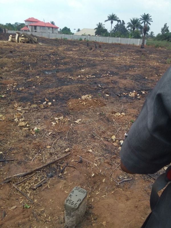 A person standing in a dirt field with a house in the background