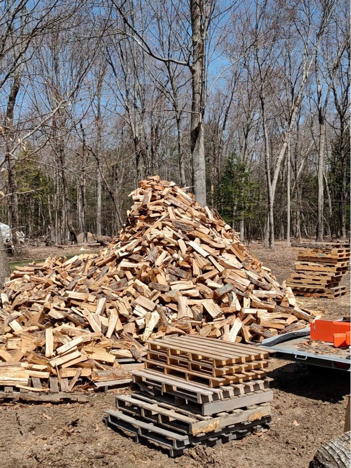 firewood 1
