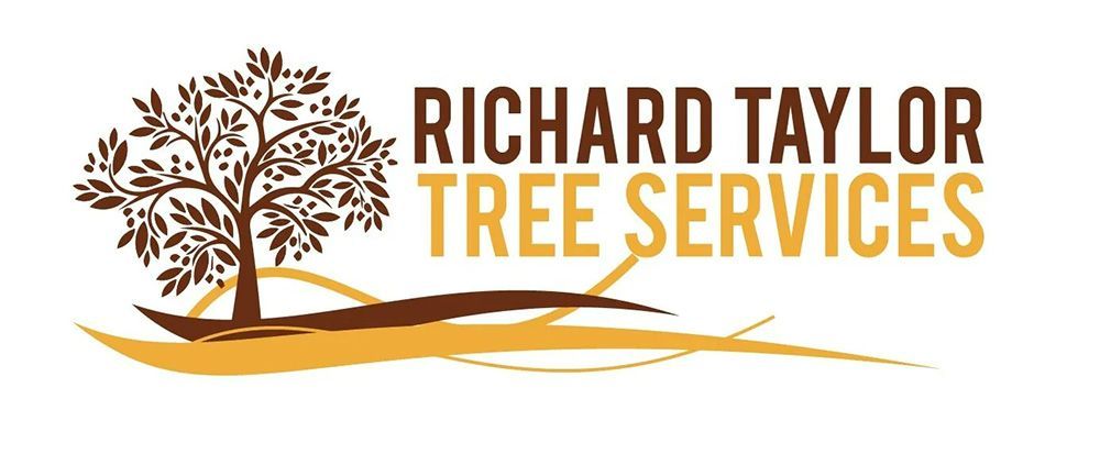 Richard Taylor Tree Services: Qualified Arborist in the Coffs Harbour Region