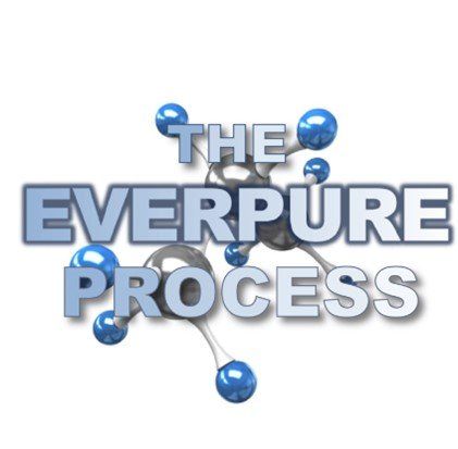 The Everpure Process — Southeast, FL — Pure Maintenance Mold Removal