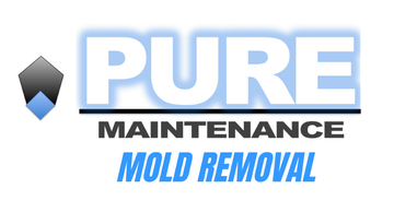 Pure Maintenance Mold Removal