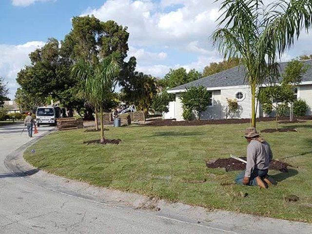 Lawn Cleaning — Fort Myers, FL — Island Coast Lawn & Landscaping, Inc.