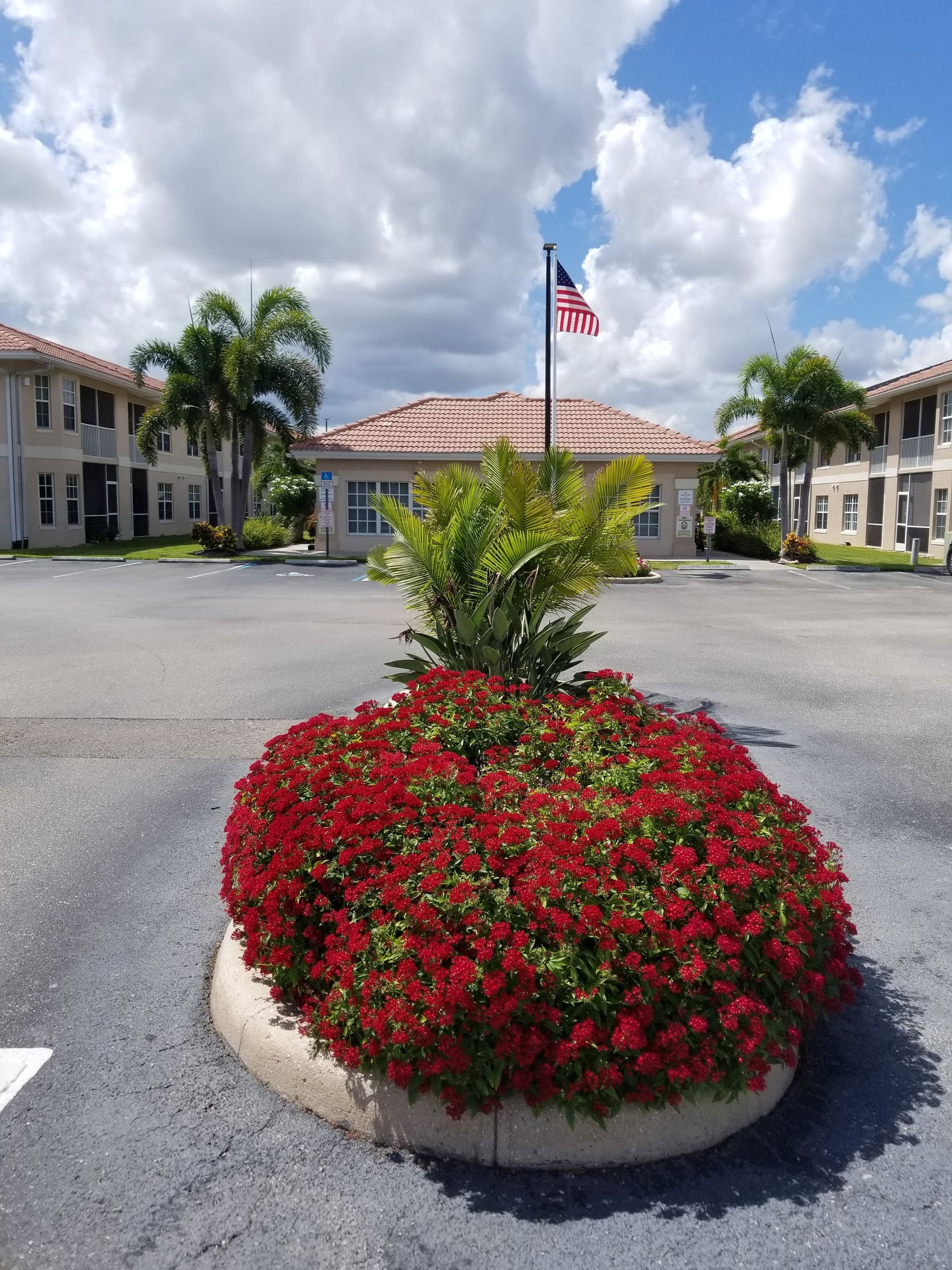 Flower bed with red flowers in front of a building with an American flag.