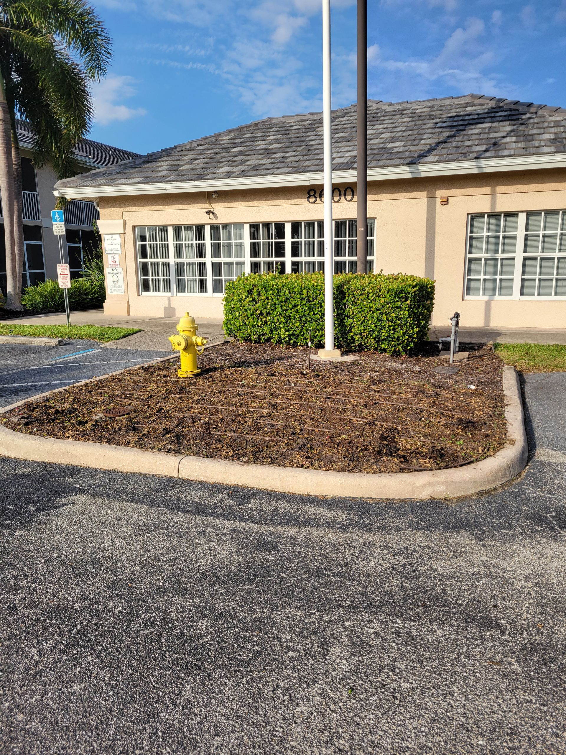 Yellow fire hydrant in a mulch bed next to a building with windows, under a flagpole and a partly cloudy sky.