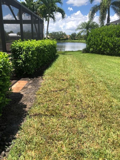 Green lawn bordered by hedges, leading to a pond. Bright sunlight.