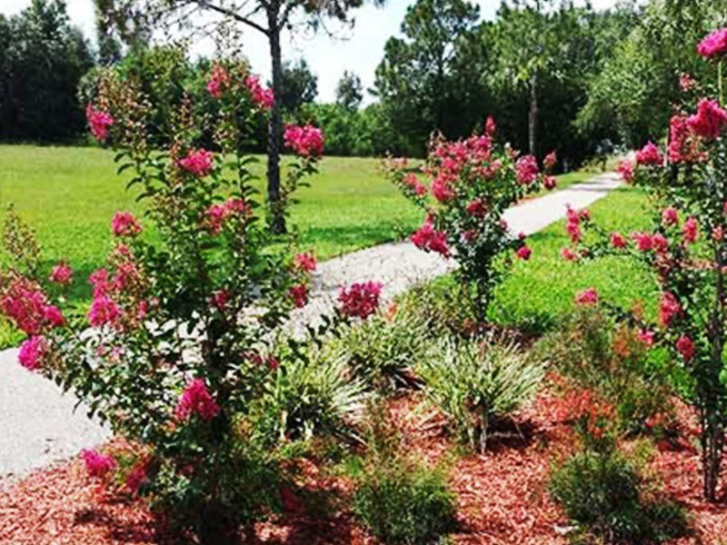 Pink Flower Plants — Fort Myers, FL — Island Coast Lawn & Landscaping, Inc.