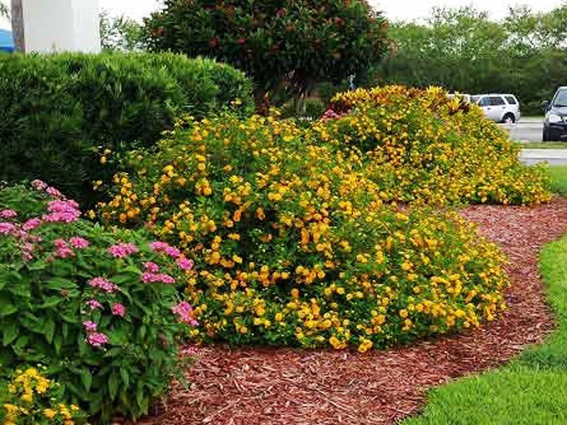 Landscaping — Fort Myers, FL — Island Coast Lawn & Landscaping, Inc.