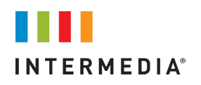Intermedia logo with four colored vertical rectangles above the company name.