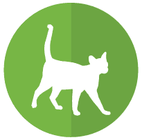 Cat Icon