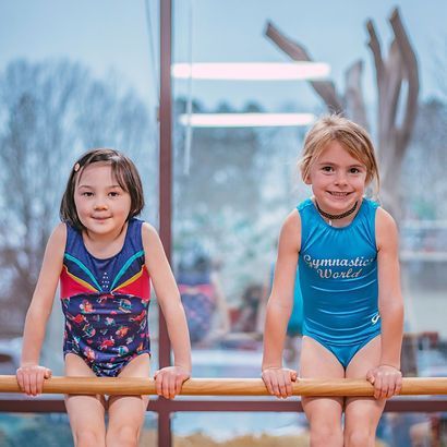 Two young girls are sitting on a bar in front of a window.