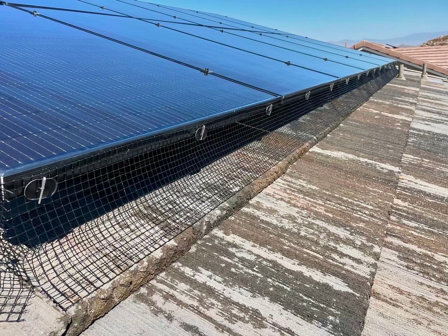 Bird-Proofing & Solar Panel Cleaning for Better Performance in Murrieta, CA