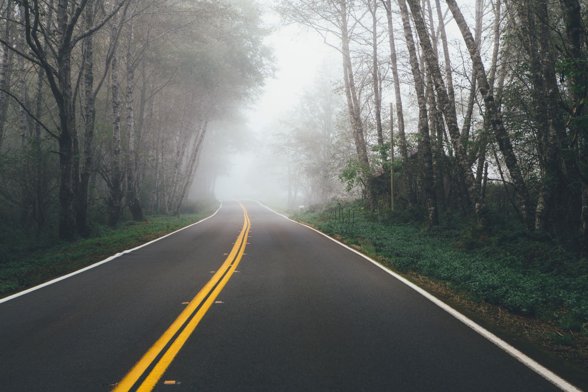 A paved road with yellow double lines leads into a dense, foggy forest.