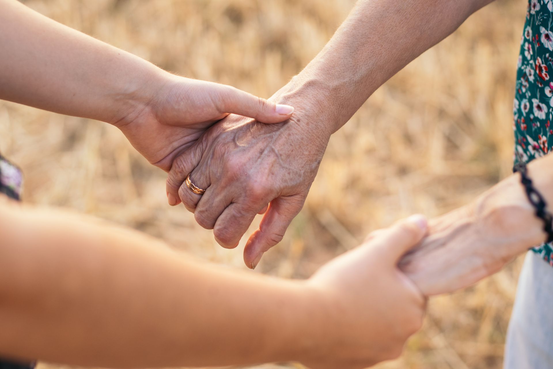 Two people hold the hands of an older person in a sunlit field, symbolizing care, support, and connection.