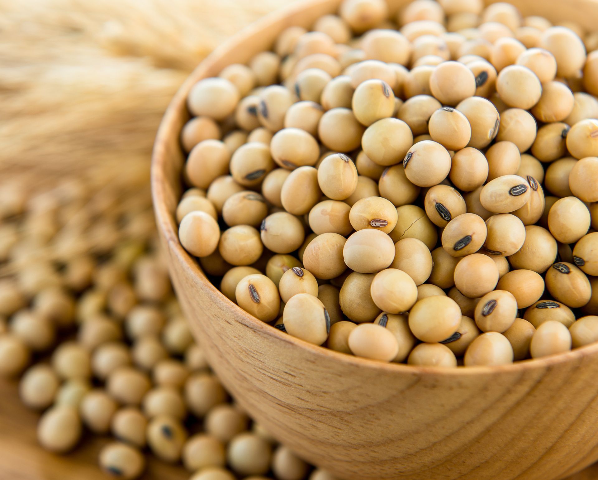 Soy beans in wood bowl — Rising Sun, MD — Dixie Land Energy
