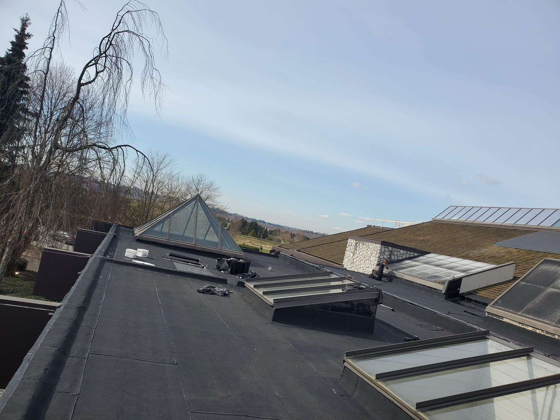 A roof with a lot of windows and a chimney on it.
