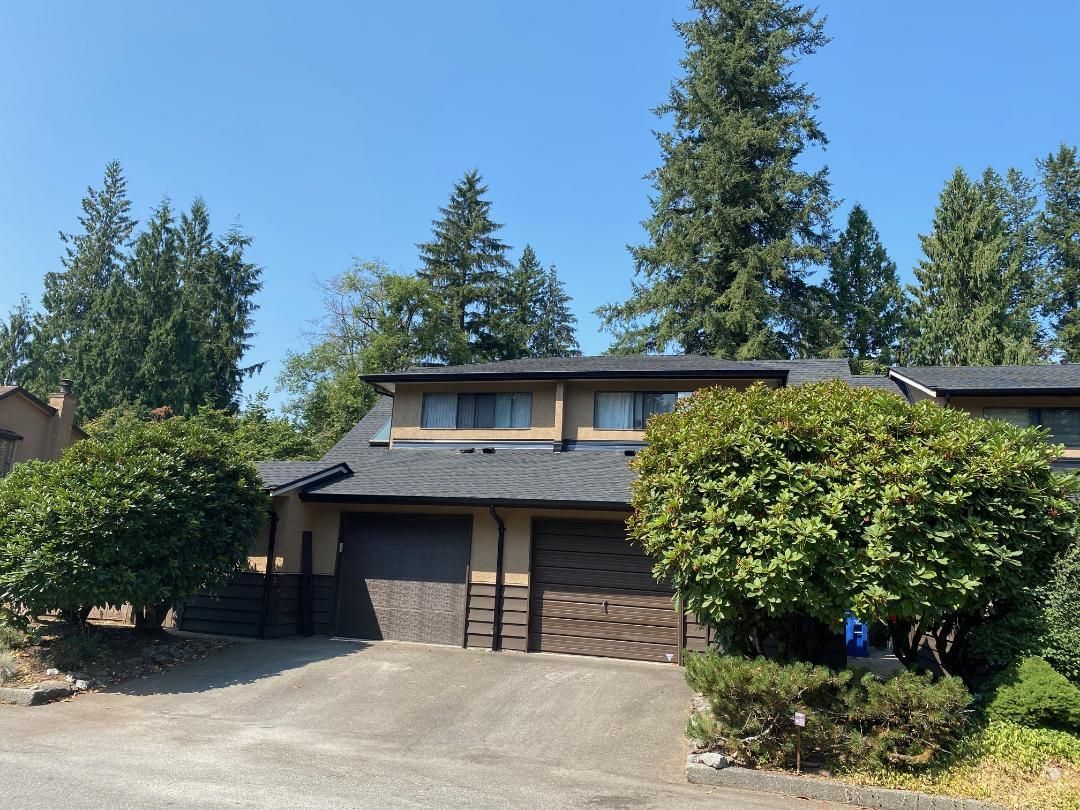 A house with a lot of trees in front of it