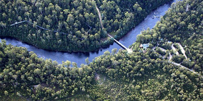 An aerial view of a river surrounded by trees and a bridge.