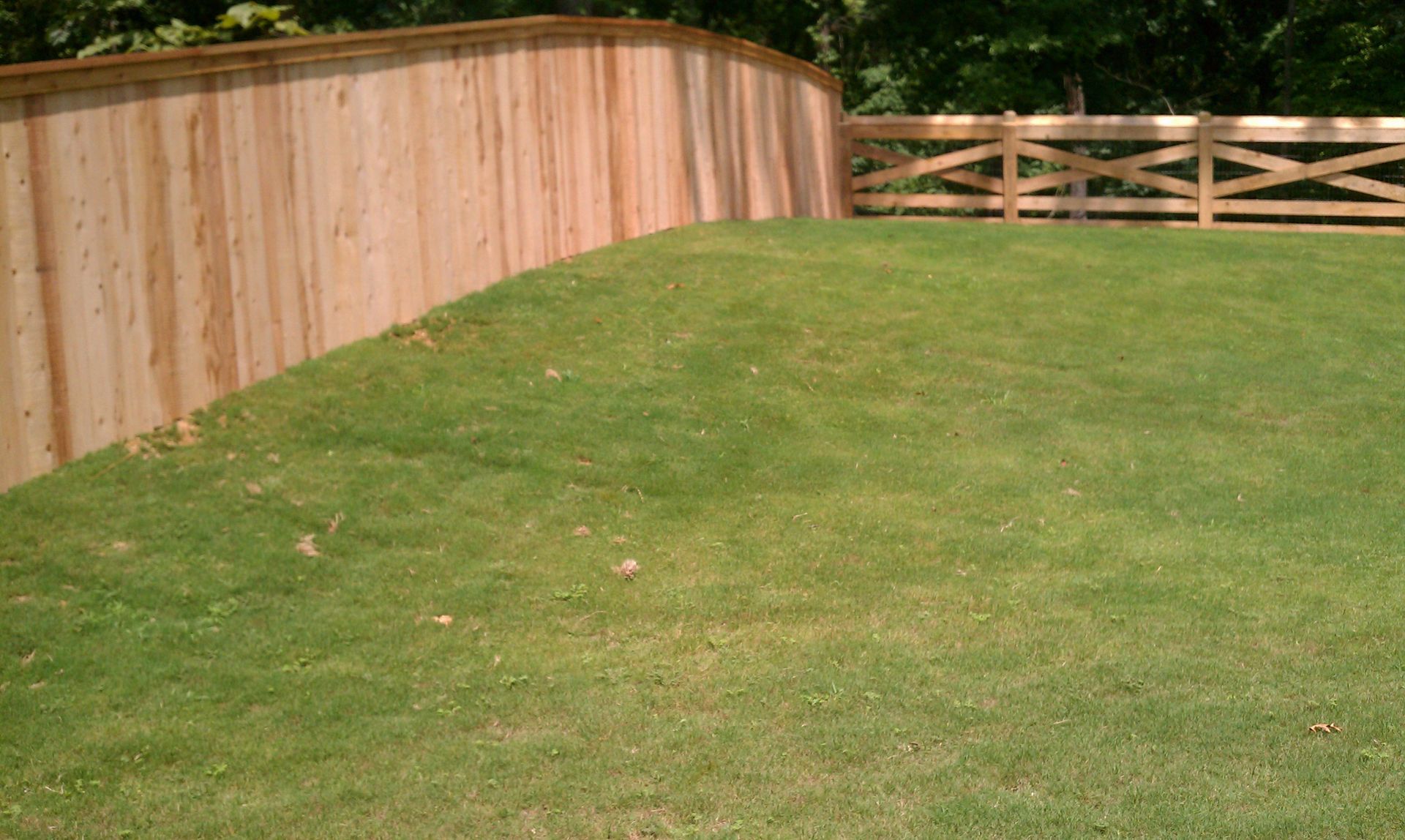 A wooden fence surrounds a lush green lawn.