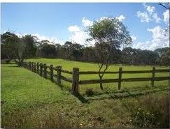 A wooden fence surrounds a grassy field with trees in the background.