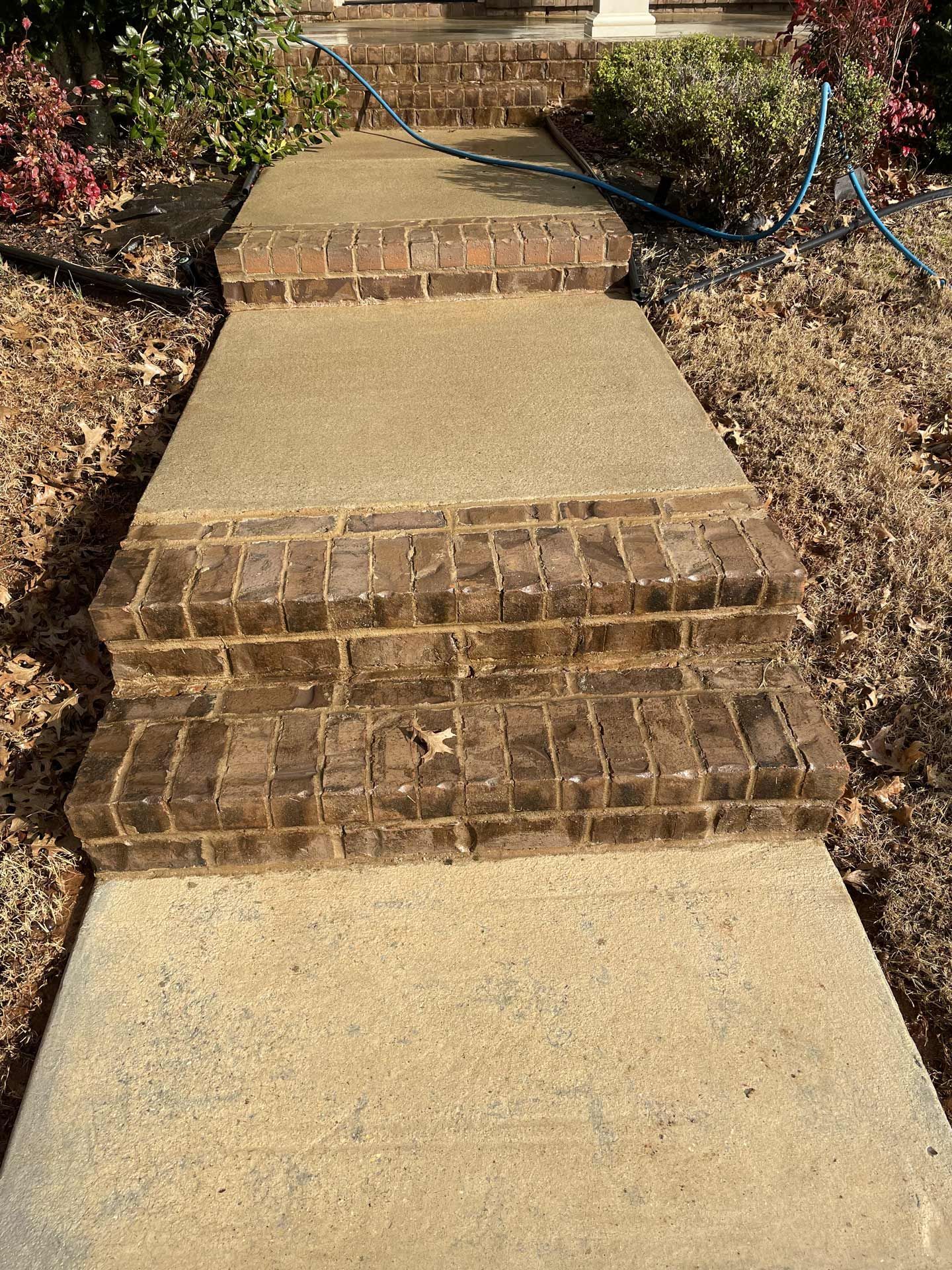 A clean concrete walkway — Decatur, AL — Dynamic Pressure Washing & Roof Cleaning