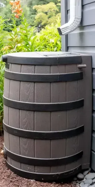 Brown rain barrel with black bands, next to a grey house, under a downspout, in a garden.