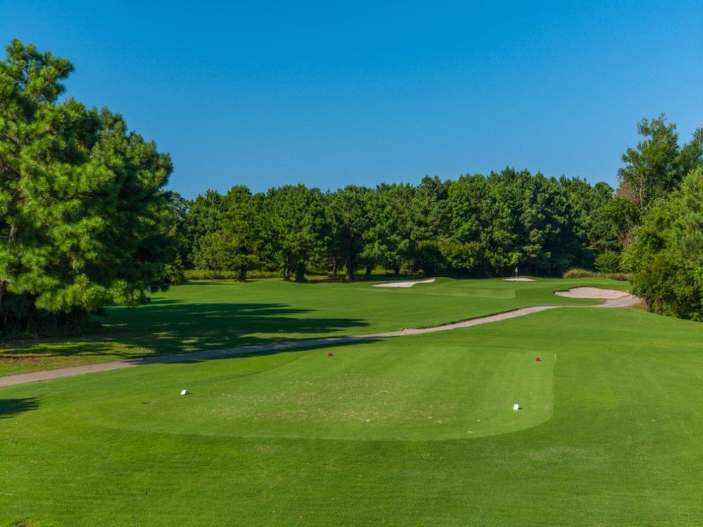 Green golf course under a blue sky, with trees in the background and a cleared fairway in the foreground.