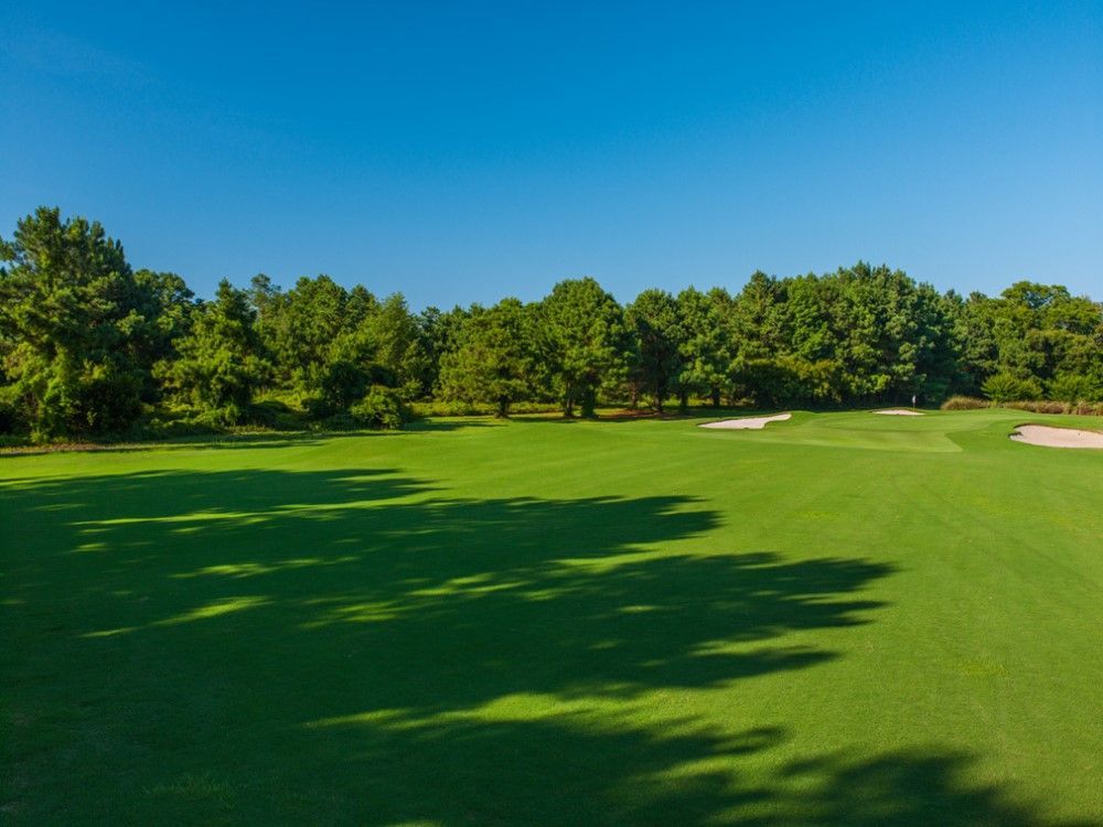 Bright green golf course with a row of trees in the background under a clear blue sky.