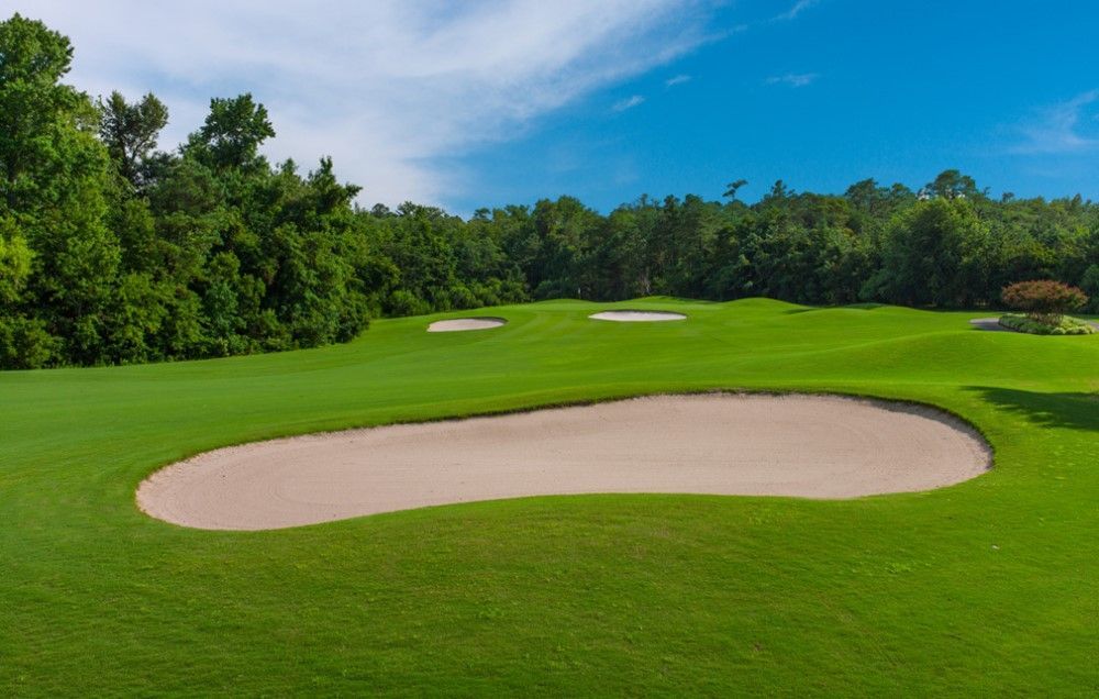 Green golf course with sand traps, trees, and a blue sky.