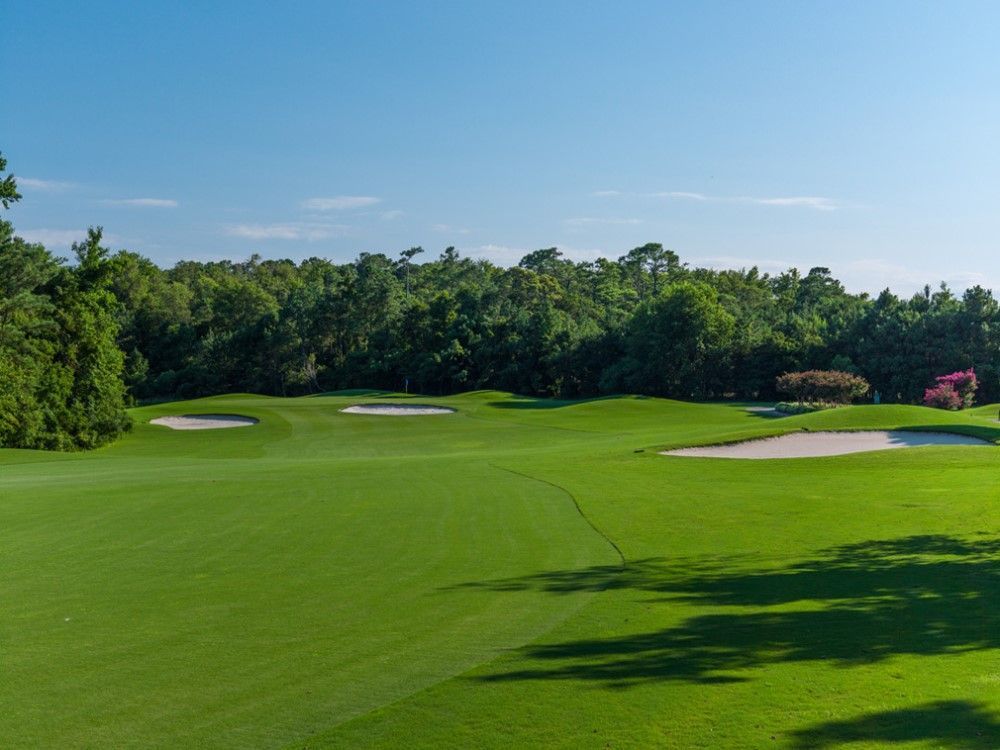 Green golf course with sand traps, surrounded by trees under a blue sky.