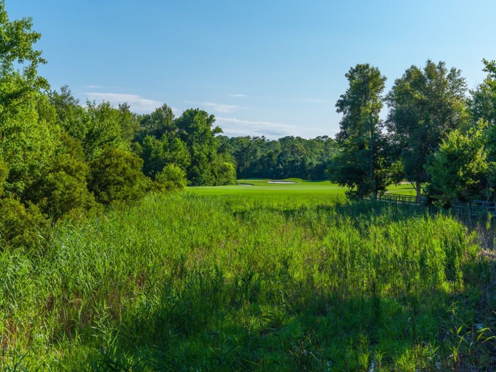 Lush green field framed by trees under a bright blue sky, likely a golf course or park on a sunny day.