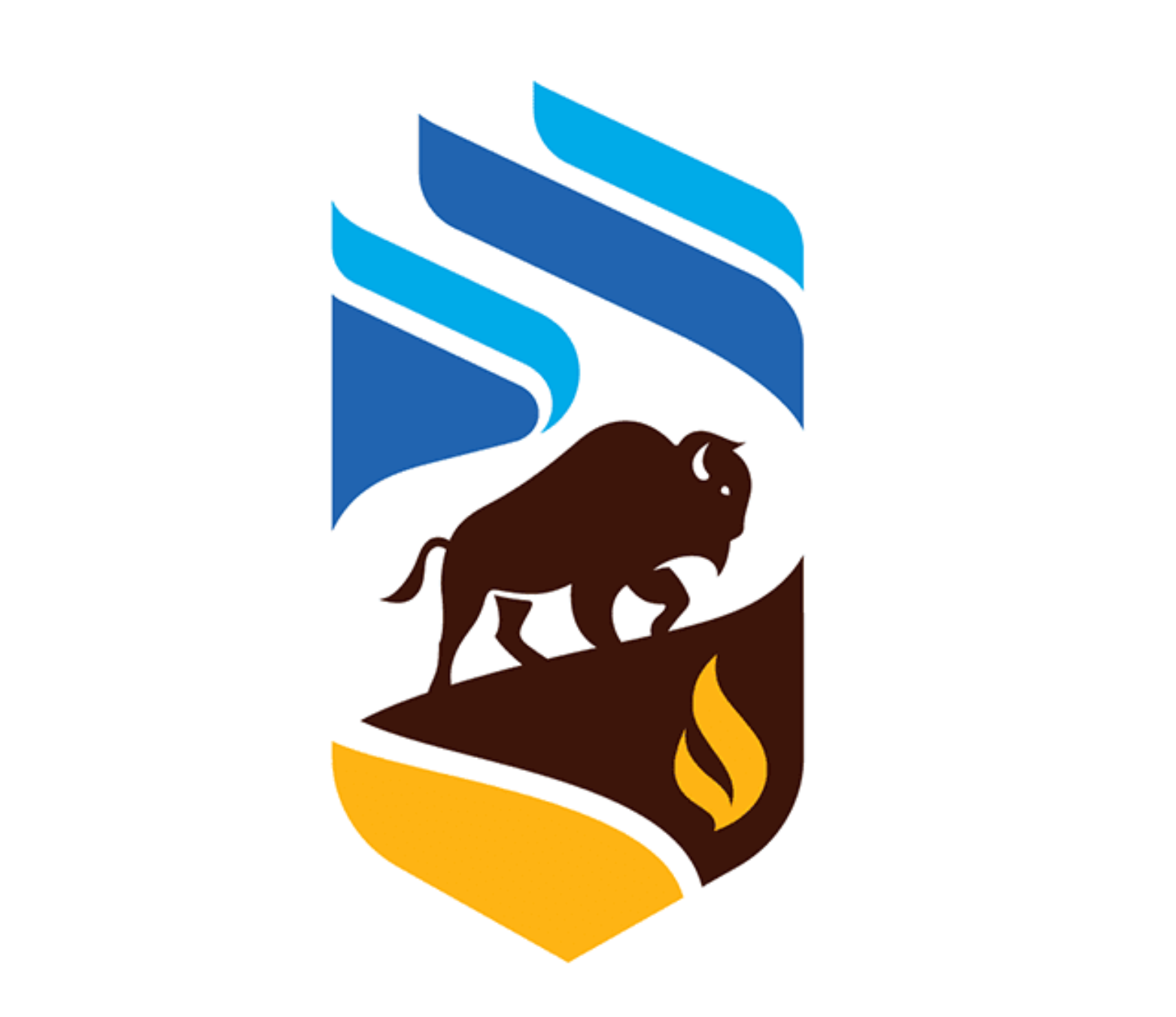 A bison is standing on top of a hill next to a fire.