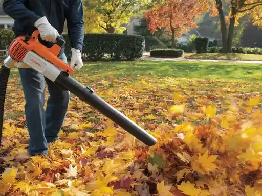Person using a leaf blower on a lawn covered in fallen leaves, orange and black equipment.