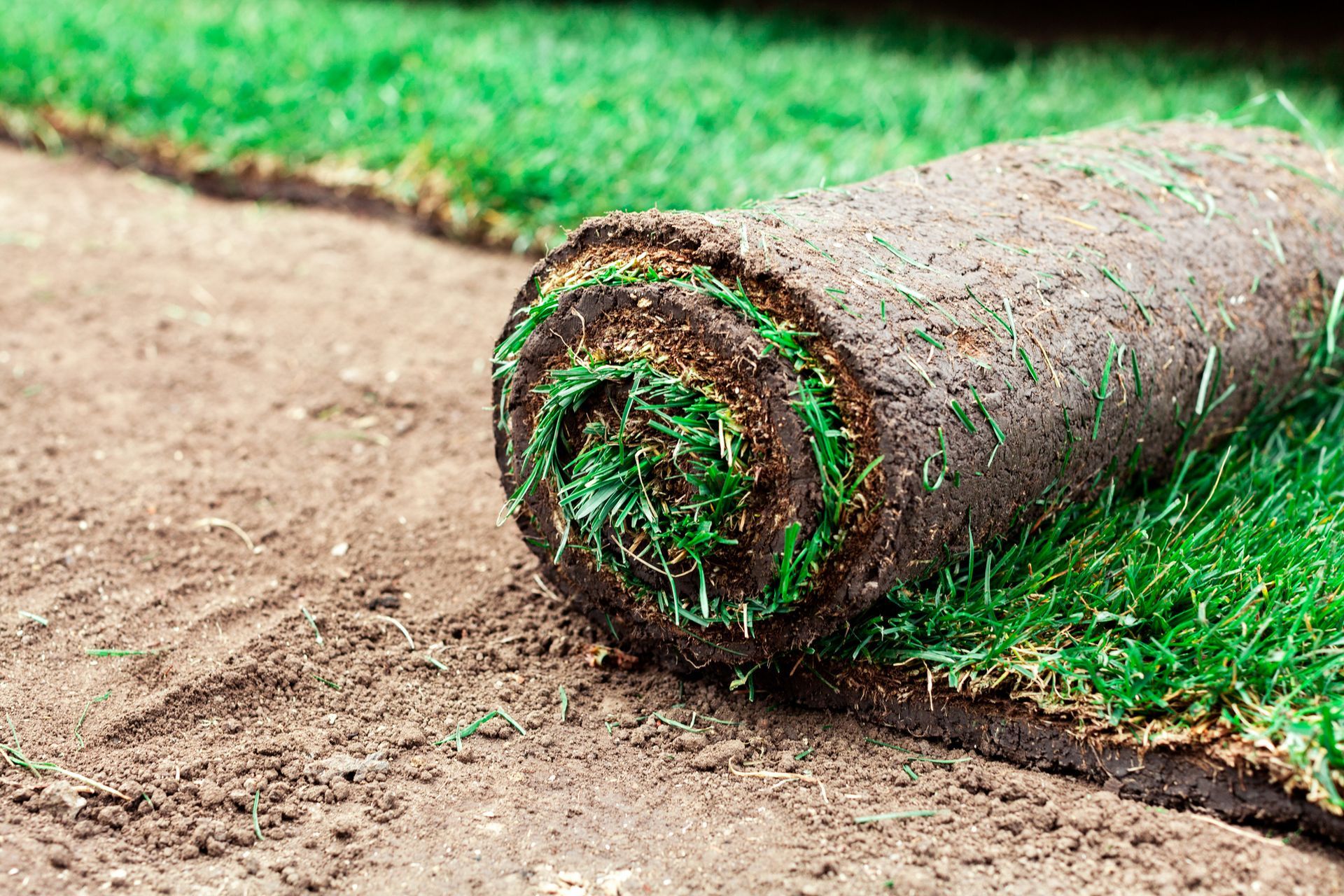 Close view of a turf or sod carpet being applied to a lawn. Close view of a turf or sod carpet being applied to a lawn.