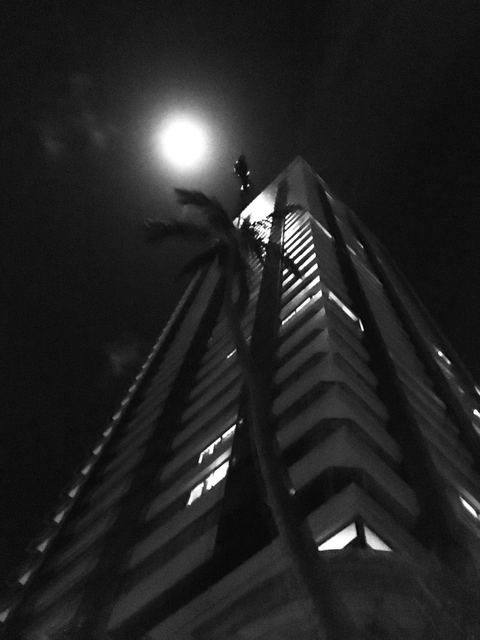 allie vance illustration