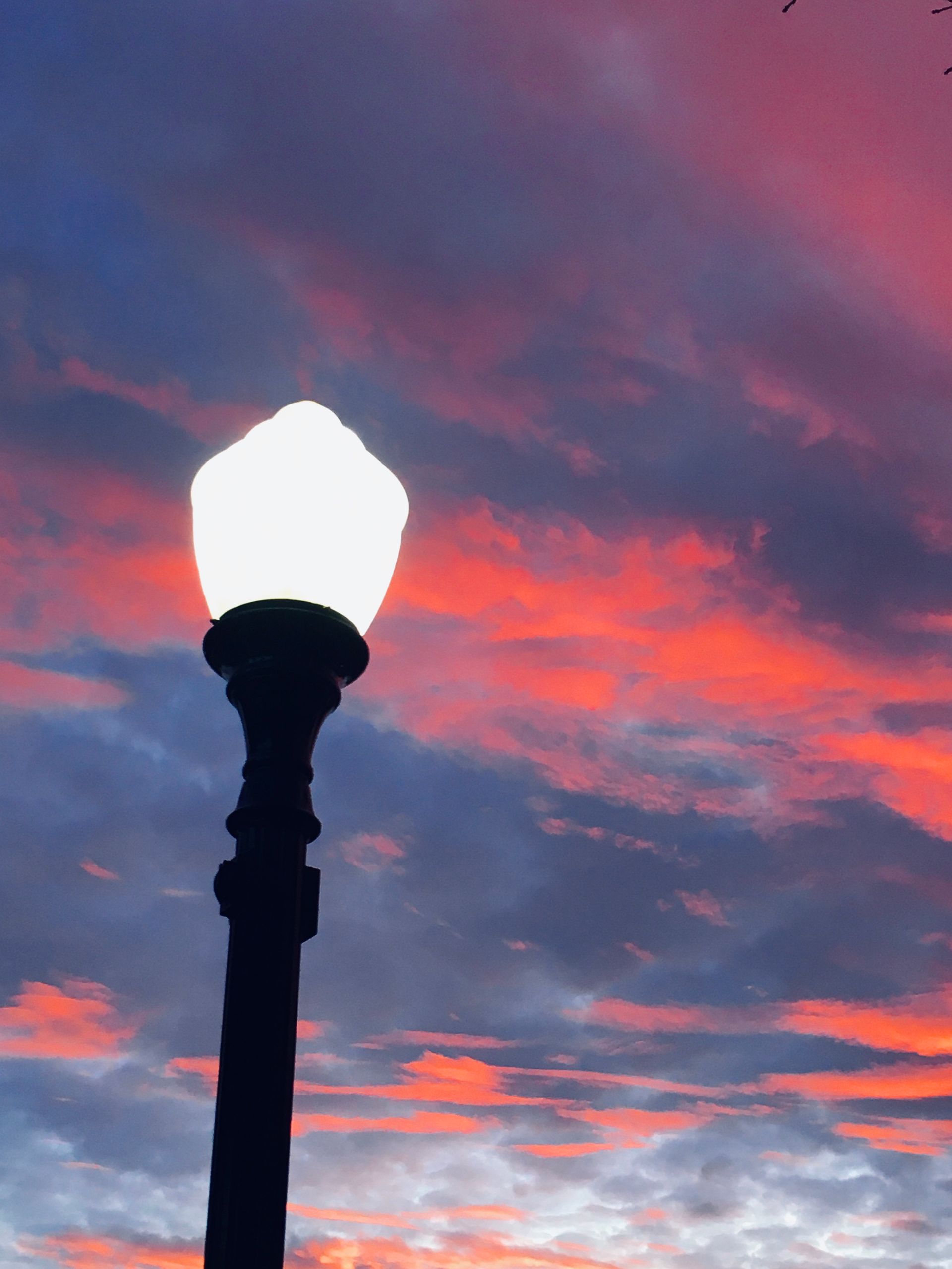 allie vance illustration