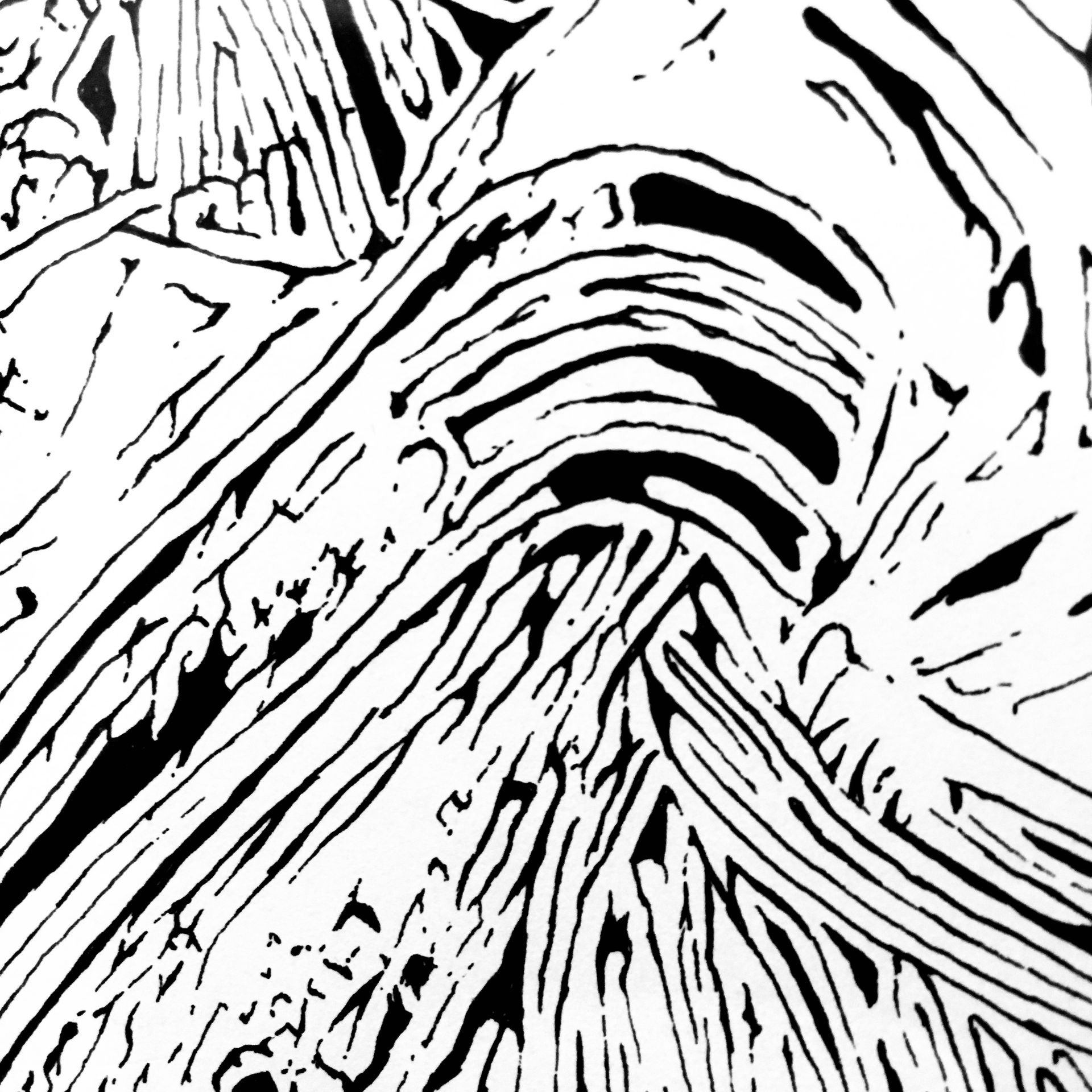 comrade coffee mockup package design