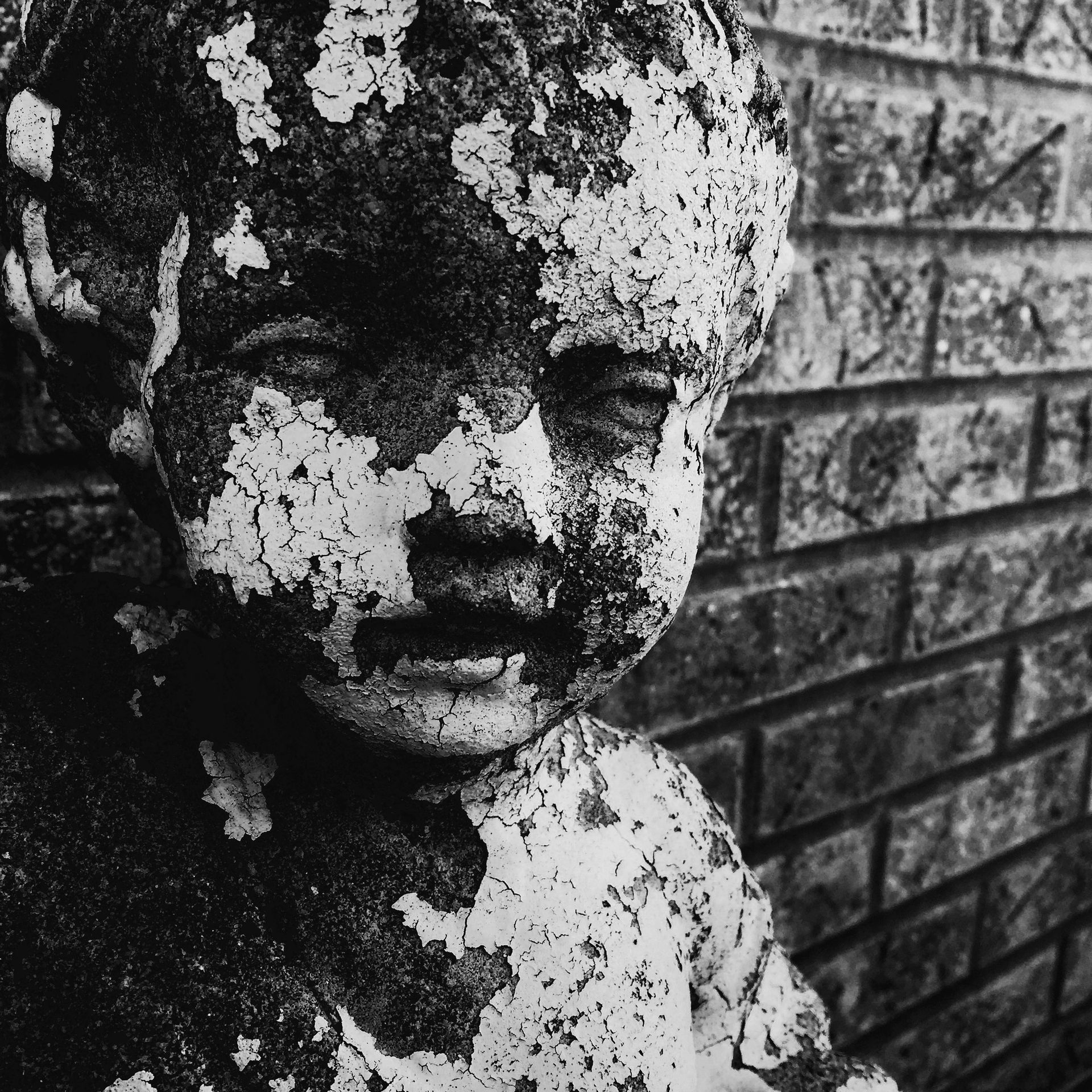 allie vance illustration