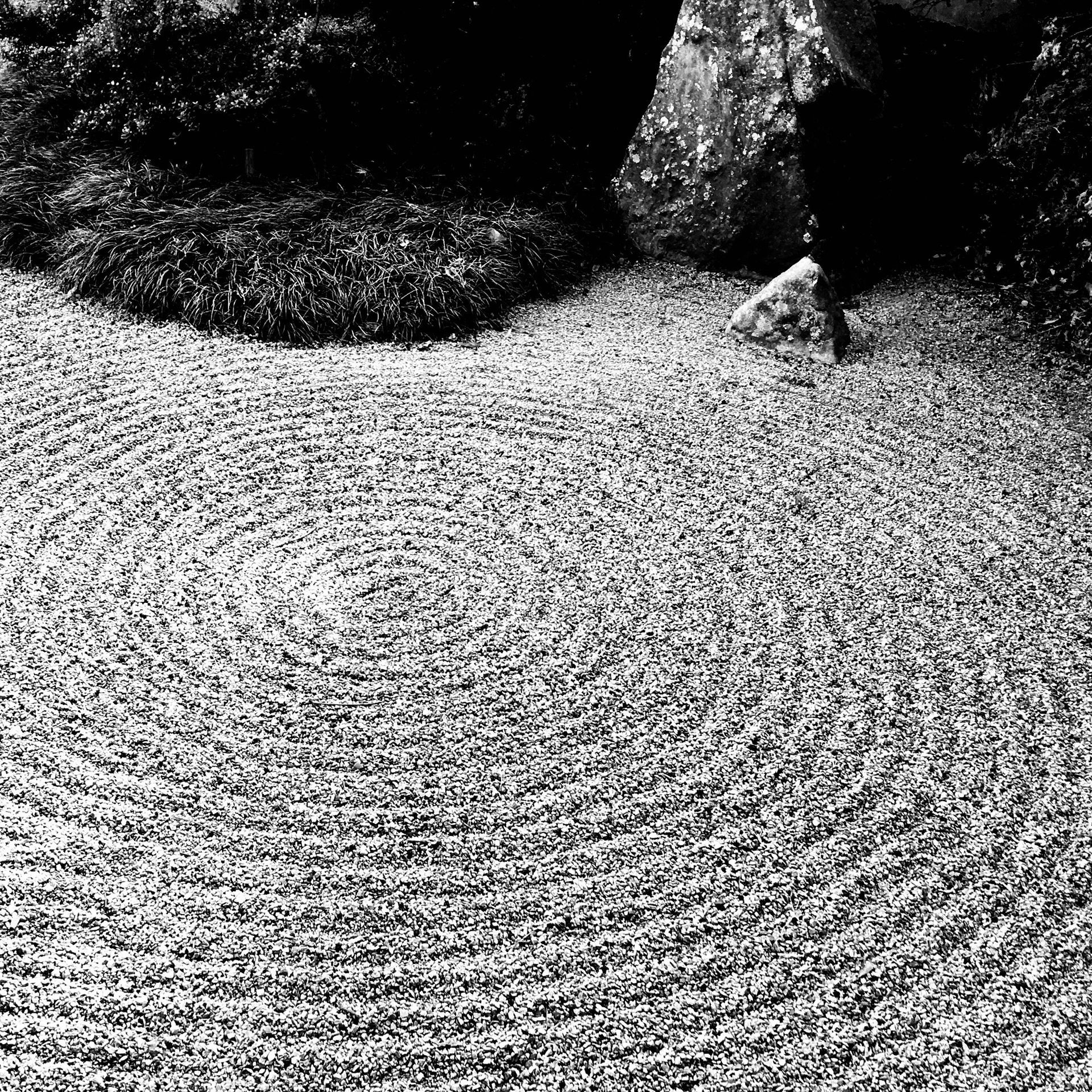 allie vance photography