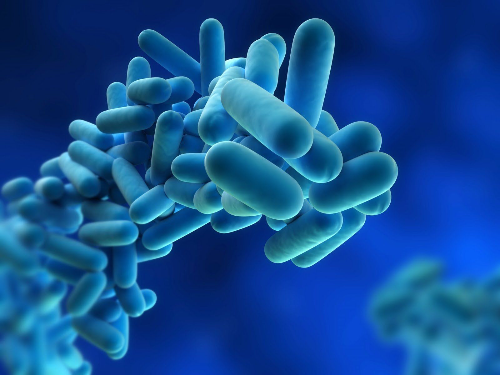 Legionella Risk Assessment from a reliable plumber in plymouth, plymouth plumber, plumber plymouth