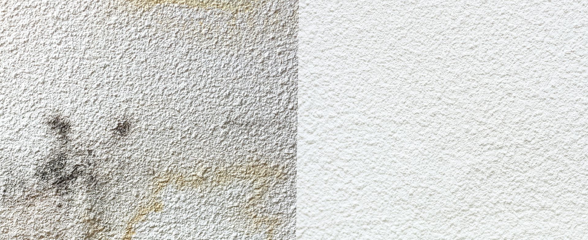 A before and after picture of a wall with mold on it.